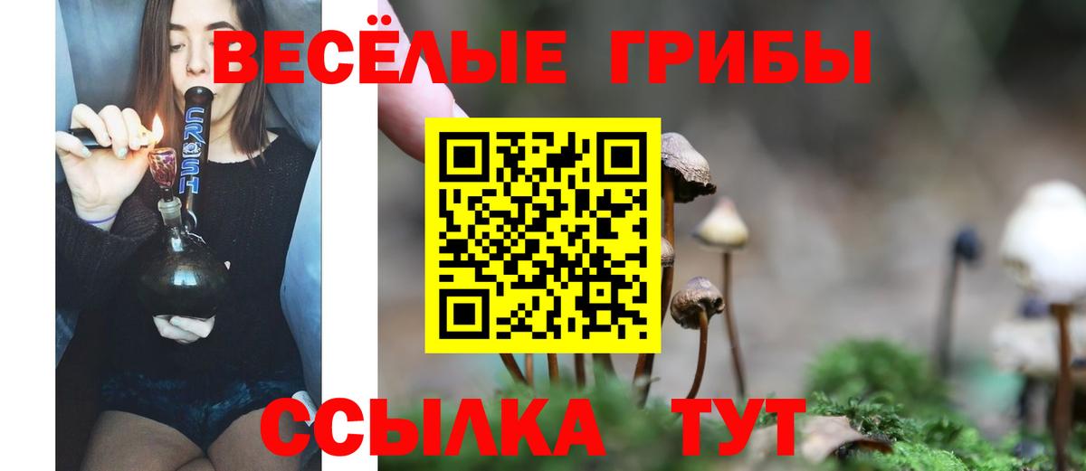 Галлюциногенные грибы Cubensis  Вход с VPN  Рыбинск 